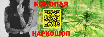 jwh Пенза