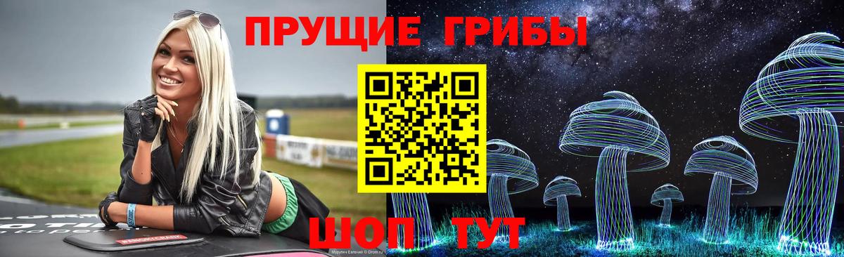 Галлюциногенные грибы Psilocybine cubensis  дарнет шоп  Волоколамск  Псилоцибиновые грибы прущие грибы  Вход с VPN 